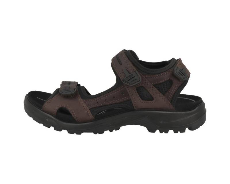 Ecco Offroad Herren Sandale Sandaletten, Sommerschuhe, Badeschuhe, Riemchen, Schlappen von Ecco