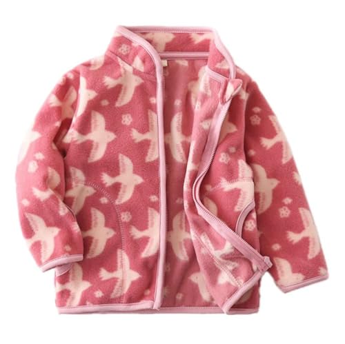 Echinodon Fleecejacke Kinder Mädchen Jacke Frühling Herbst Winter Weiche Leichte Jacke Rot 100 Echinodon Fleecejacke Kinder Mädchen Jacke Frühling Herbst Winter Weiche Leichte Jacke Rot 100 von Echinodon