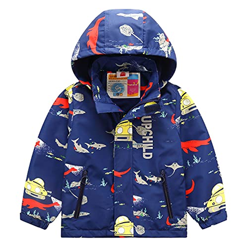 Echinodon Jungen Gefütterte Outdoorjacke Wanderjacke wasserabweisend Winddicht Kinder Jacke Regenjacke Übergangsjacke Funktionsjacke C 110-116 von Echinodon