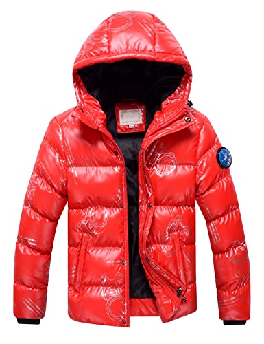 Echinodon Jungen Steppjacke Winterjacke Kinder Verdickte Jacke mit Kapuze Wasserabweisend Winndicht Winter Herbst Parka Rot 150 von Echinodon