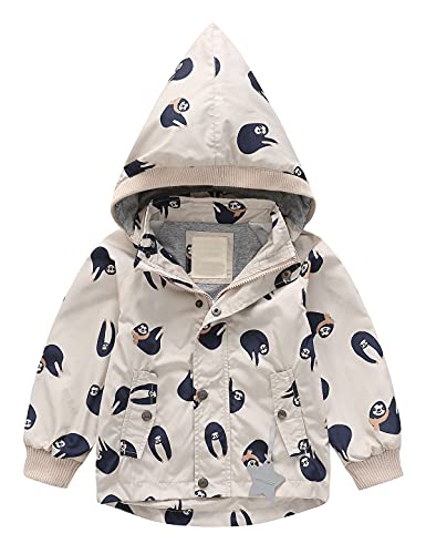Echinodon Kinder Gefütterte Outdoorjacke Winddicht Wasserabweisend Mädchen Jungen Übergangsjacke Jacke mit Reflektoren Wanderjacke Neu-C 110 Echinodon Kinder Gefütterte Outdoorjacke Winddicht Wasserabweisend Mädchen Jungen Übergangsjacke Jacke mit Reflektoren Wanderjacke Neu-C 110 von Echinodon