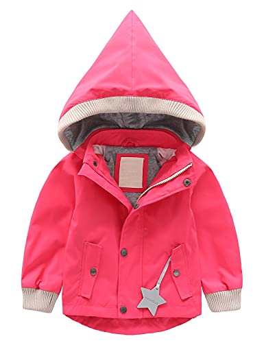 Echinodon Kinder Gefütterte Outdoorjacke Winddicht Wasserabweisend Mädchen Jungen Übergangsjacke Jacke mit Reflektoren Wanderjacke Neu-D 100 von Echinodon