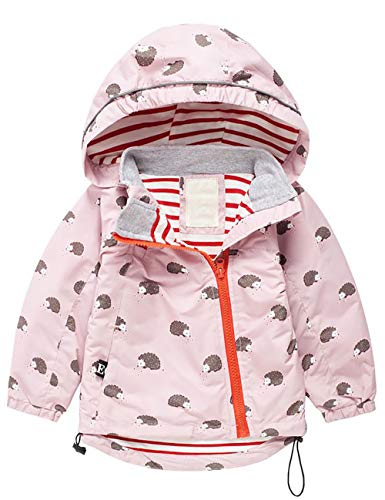 Echinodon Mädchen Jacke Winddicht Wasserabweisend Outdoorjacke mit Reflektoren Kinder Windjacke Übergangsjacke Frühling Herbst Echinodon Mädchen Jacke Winddicht Wasserabweisend Outdoorjacke mit Reflektoren Kinder Windjacke Übergangsjacke Frühling Herbst von Echinodon