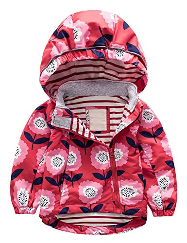 Echinodon Mädchen Jacke Winddicht Wasserabweisend Outdoorjacke mit Reflektoren Kinder Windjacke Übergangsjacke Frühling Herbst von Echinodon