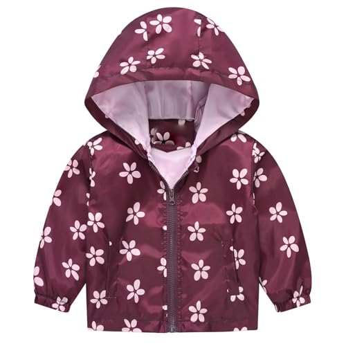 Echinodon Mädchen Leichte Jacke Kleinkind Dünne Windjacke mit Aufdruck Frühling Sommer Herbst Weinrot 90 von Echinodon