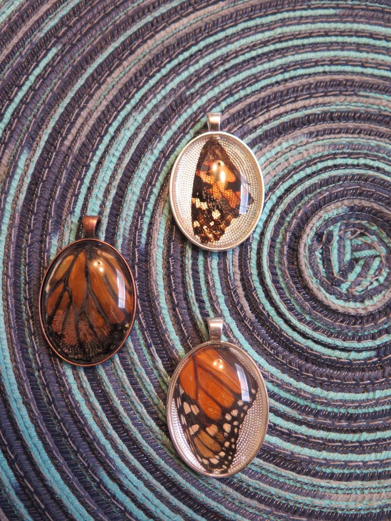 Echte Schmetterlingsflügel Halskette Anhänger-Kostenloser Versand in Usa von EclecticCarisa