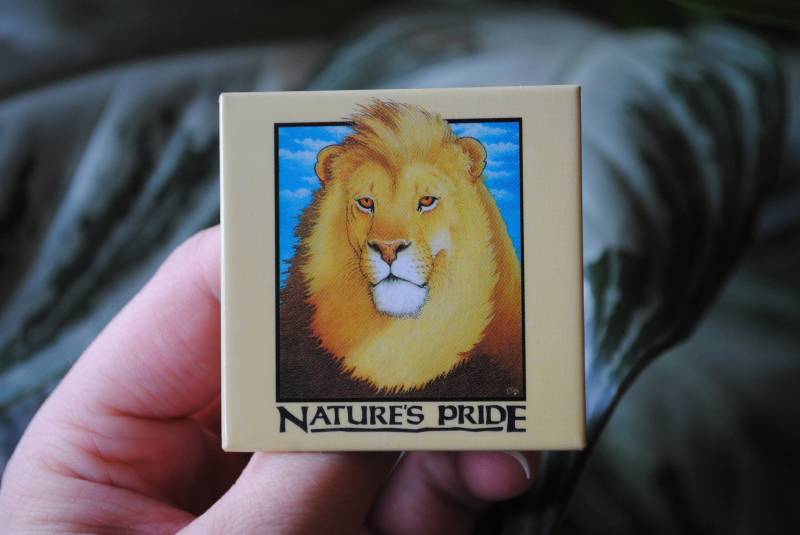 Vintage Nature's Pride Pin Back Button - Löwe 1990Er Jahre Human-I-Tees Original Retro Umweltschützer Badge von EclecticsintheSky