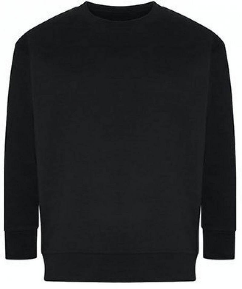 Ecologie Sweatshirt Crater Recycled Sweatshirt XS bis 2XL von Ecologie
