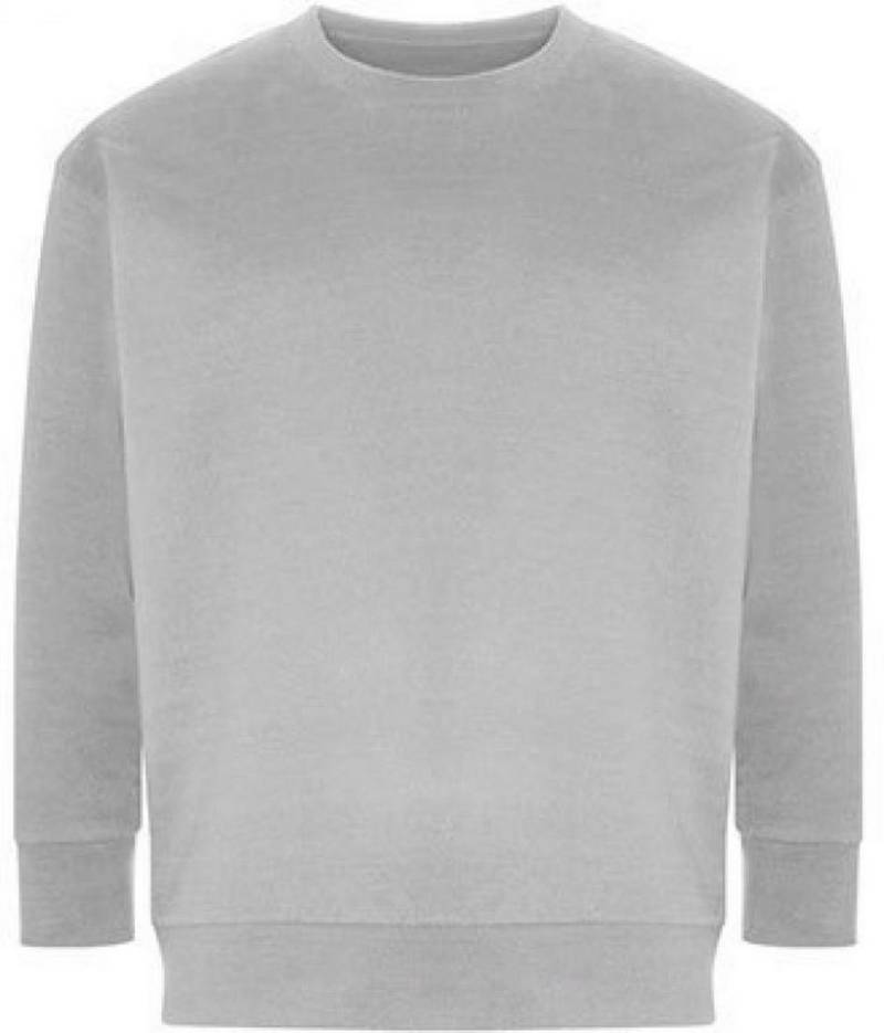 Ecologie Sweatshirt Crater Recycled Sweatshirt XS bis 2XL von Ecologie