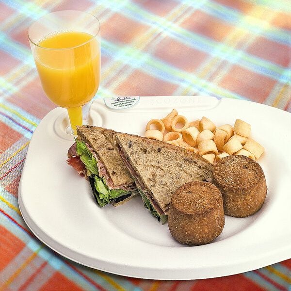 Ecozone Ecoplates - der 110% CO2-positive Partyteller von Ecozone