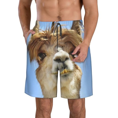 EdWal Strandshorts mit afrikanischem Webdruck, Herren-Badehose, schnell trocknend, Badeshorts mit dreieckigem Netzfutter, Lustiges Alpaka-Lama, L von EdWal