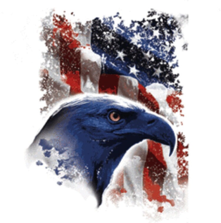 Amerika Kultiges Adler & Flagge Solar Trans Farbwechsel Shirt Amerika Kultiges Adler & Flagge Solar Trans Farbwechsel Shirt von EdenOutdoor