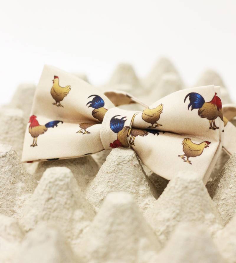 Muchoranek | Teleranek in Der Fliegenversion Xd von EdytaKleist