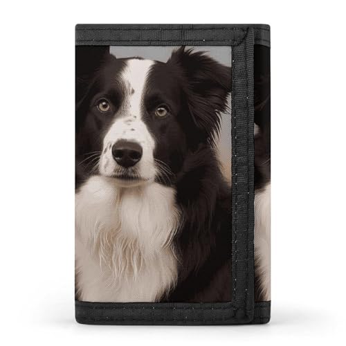 Eekstdbn Border Collie Trifold Geldbörse, Kartenetuis und Geld Oganizer Dünne stilvolle Mini-Münztasche mit Reißverschluss Münzfach Kredit für Männer und Frauen von Eekstdbn