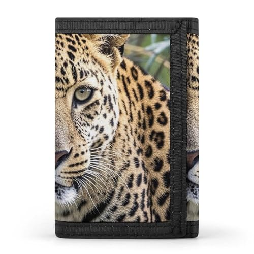 Eekstdbn Dreifach gefaltete Geldbörse mit afrikanischem Tier-Leopardenmuster, Kartenetuis und Geld, dünn, stilvolle Mini-Münztasche mit Reißverschluss, Münzfach, Kredit für Männer und Frauen Eekstdbn Dreifach gefaltete Geldbörse mit afrikanischem Tier-Leopardenmuster, Kartenetuis und Geld, dünn, stilvolle Mini-Münztasche mit Reißverschluss, Münzfach, Kredit für Männer und Frauen von Eekstdbn