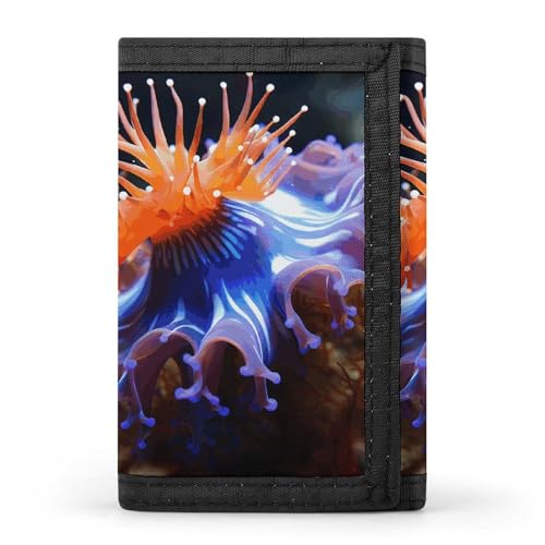 Eekstdbn Nudibranch Trifold Wallet, Kartenetuis und Geld Oganizer Dünne stilvolle Mini-Münztasche mit Reißverschluss Münzfach Kredit für Männer und Frauen von Eekstdbn