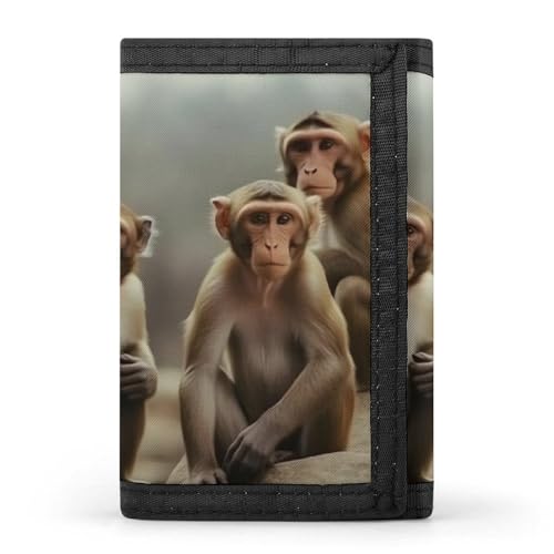 Eekstdbn Sitting Monkey Trifold Wallet, Kartenetuis und Geld Oganizer Dünne stilvolle Mini-Münztasche mit Reißverschluss Münzfach Kredit für Männer und Frauen von Eekstdbn