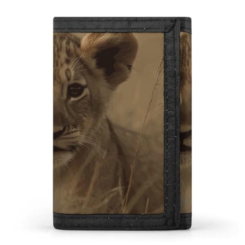 Eekstdbn The Waiting Lion Cub Trifold Wallet, Card Cases And Money Oganizer Thin Stylish Mini Coin Bag with Zipper Coin Pocket Credit for Men And Women von Eekstdbn