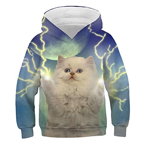 Eenliy Mode Katze Hoodies Teen MäDchen Jungen 3D Gedruckte Kapuzenpullover Kinder Hoodie Loose Pullover Herbst Kinder Streetwear Picture Color12 11T von Eenliy