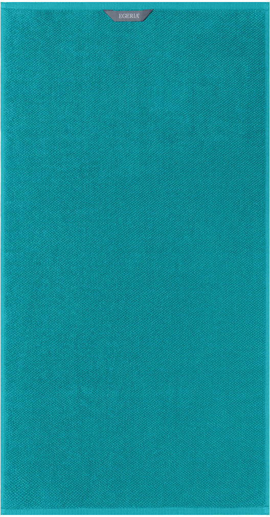 Egeria Handtücher "BOSTON", (2 St., 2er Set Handtücher 50 x 100 cm), neues Uni Programm, aus 100% Baumwolle, Größe jeweils 50 x 100 cm von Egeria