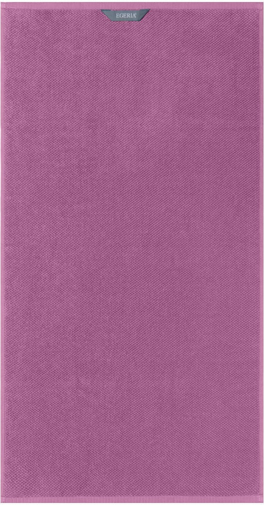 Egeria Handtücher "BOSTON", (2 St., 2er Set Handtücher 50 x 100 cm), neues Uni Programm, aus 100% Baumwolle, Größe jeweils 50 x 100 cm von Egeria