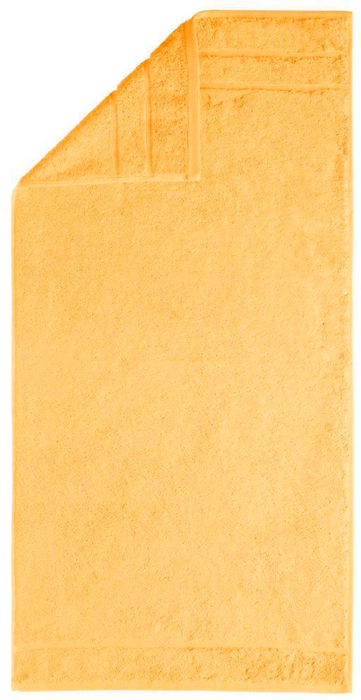 Egeria Handtücher "Prestige", (2 St., 2er Set Handtücher 50 x 100 cm), Uni Programm mit Streifenbordüre, SUPIMA Baumwolle von Egeria