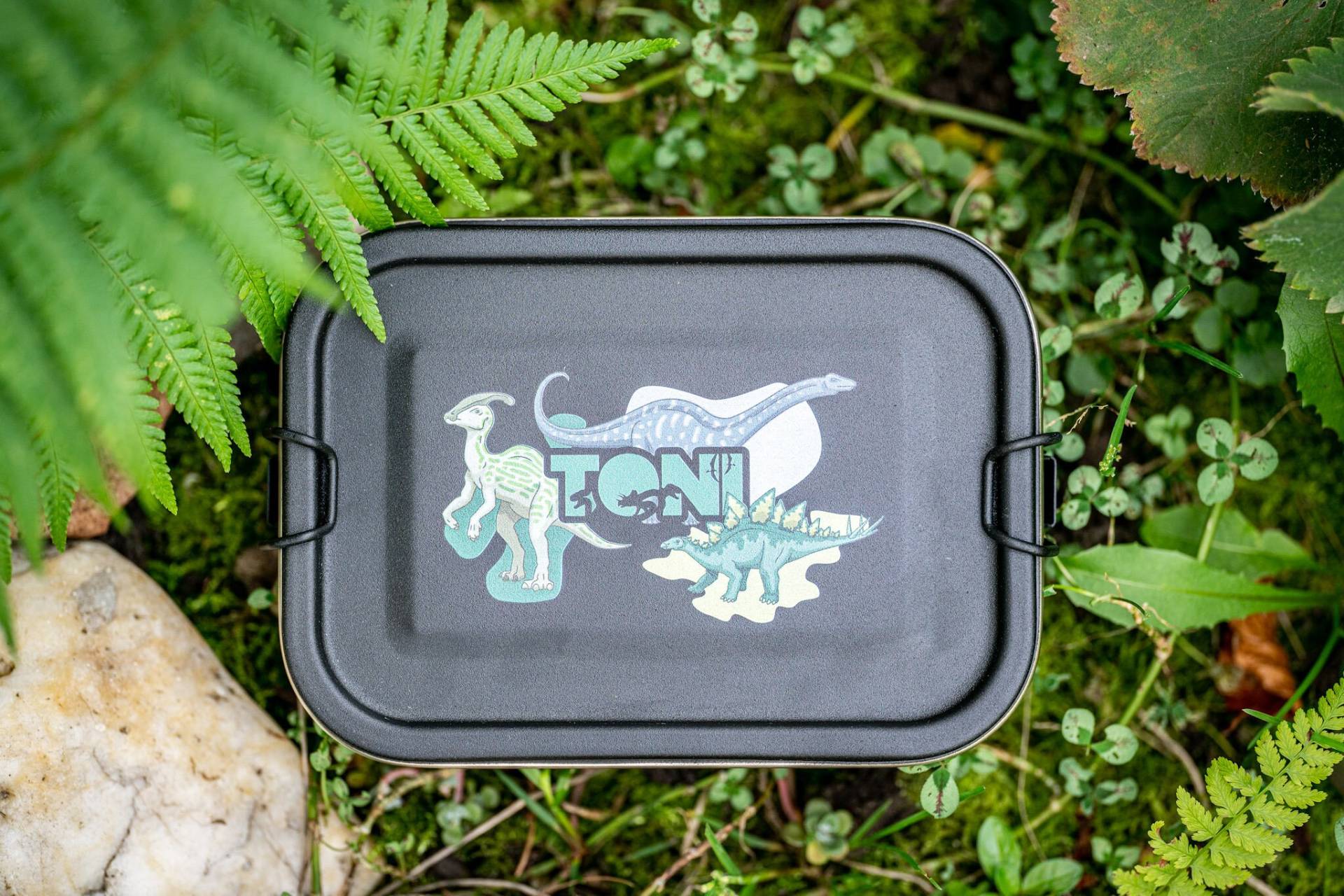 Metallbrotdose, Edelstahl Lunchbox Dose Schwarz Matt „Dinosaurier" Kindergeschenk, Schulkind, Weihnachtsgeschenk Für Kinder von EisenwaldManufaktur