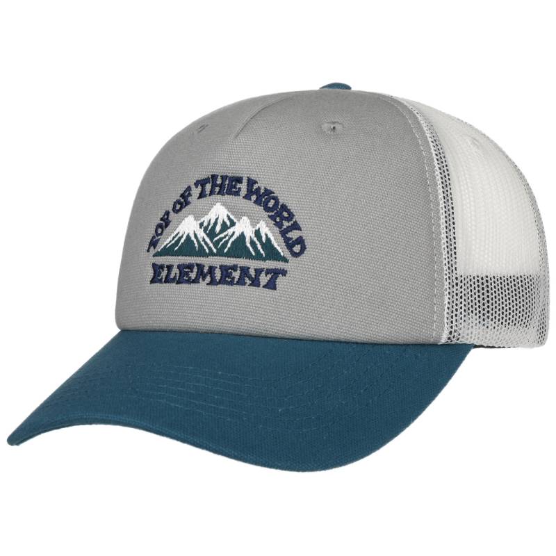 Icon Mesh Trucker Cap by Element von Element