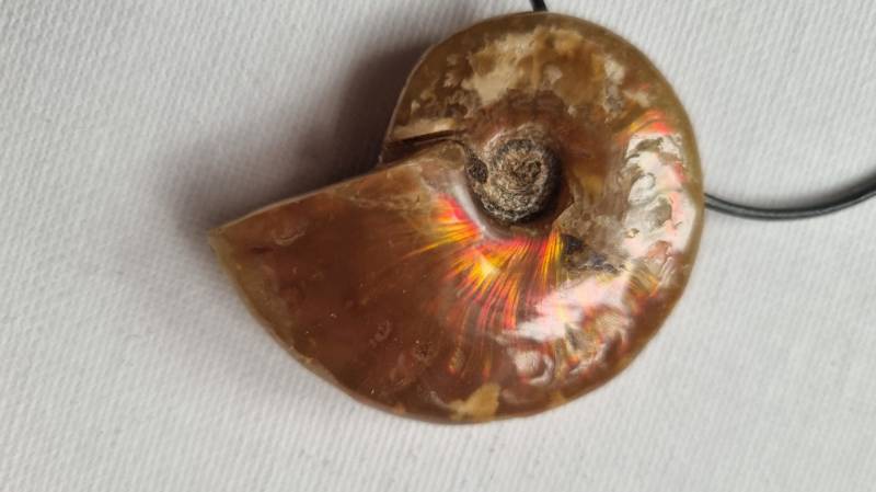 Ammolith | Ammonit Anhänger Mit Lederband von ElkesEdelsteinstube