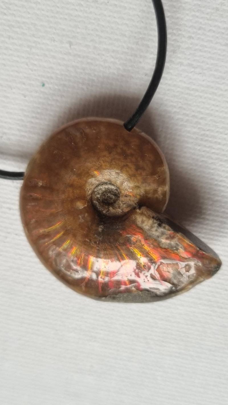 Ammolith | Ammonit Anhänger Mit Lederband von ElkesEdelsteinstube