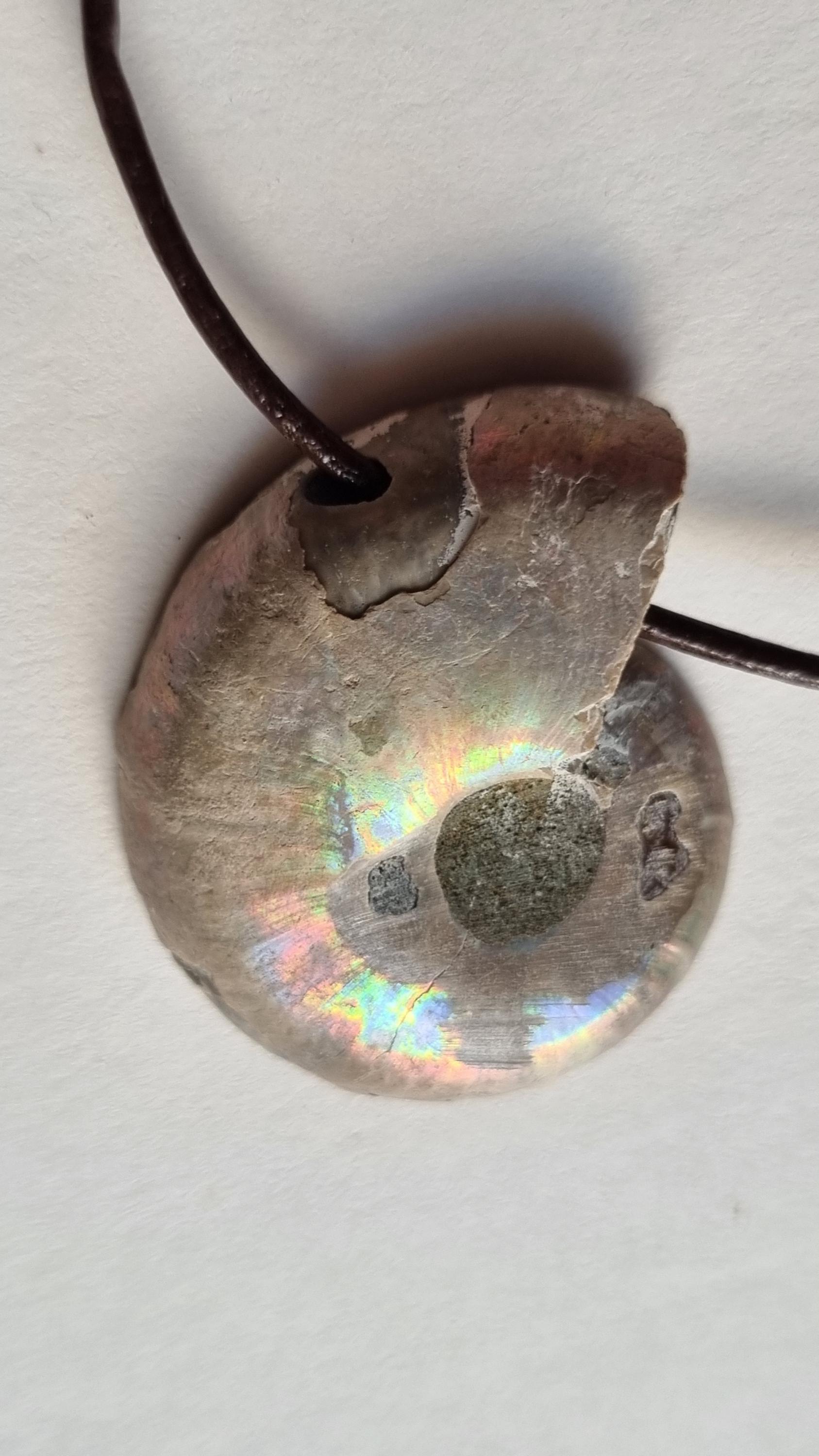 Ammonit | Ammolith Mit Lederband von ElkesEdelsteinstube