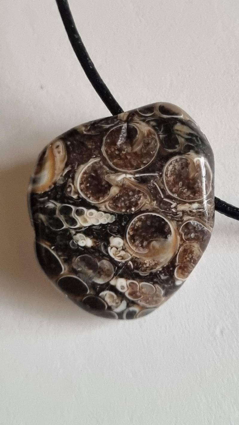 Turitellajaspis Mit Lederband von ElkesEdelsteinstube