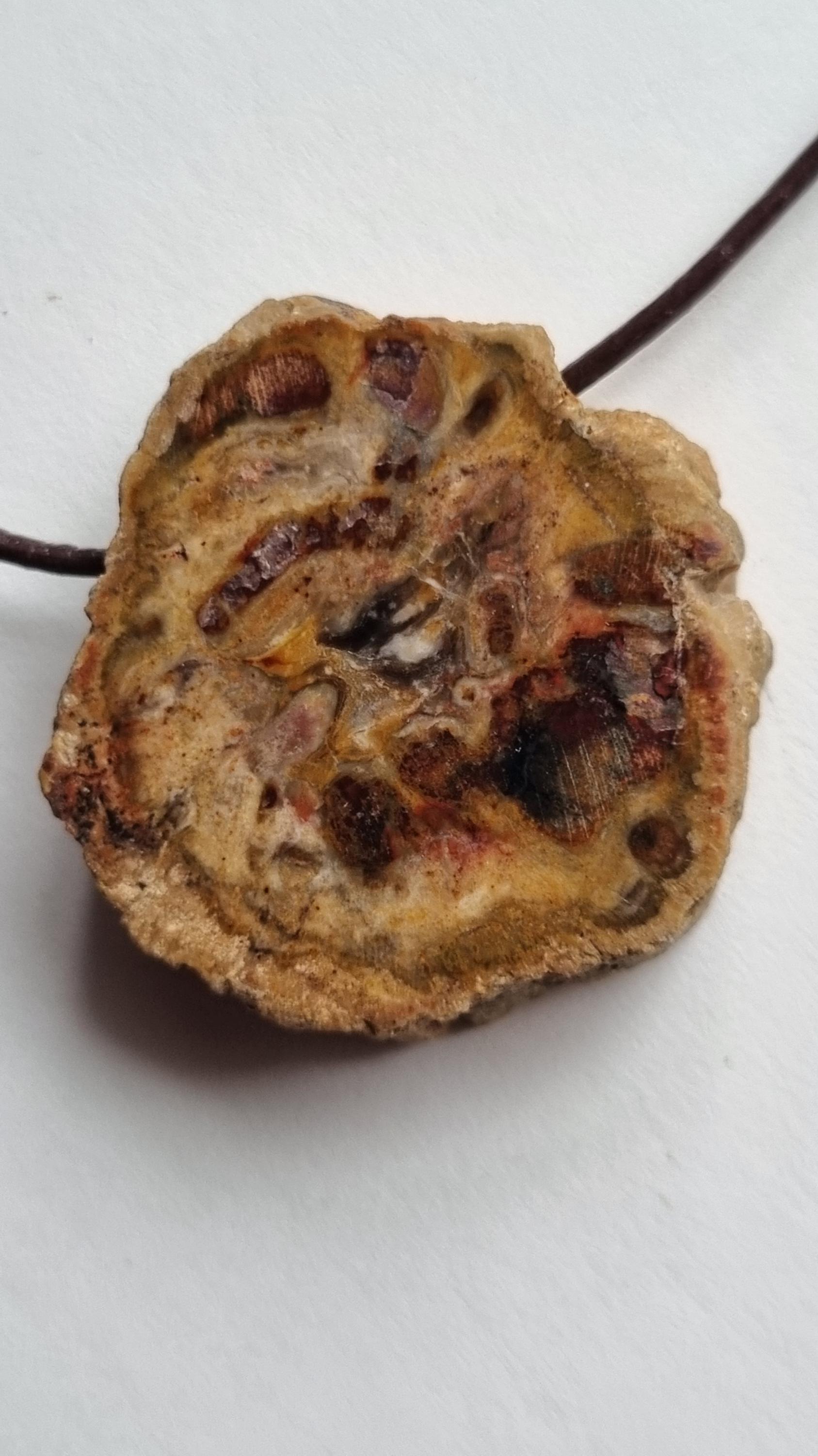 Versteinertes Holz Mit Lederband Versteinertes Holz Mit Lederband von ElkesEdelsteinstube