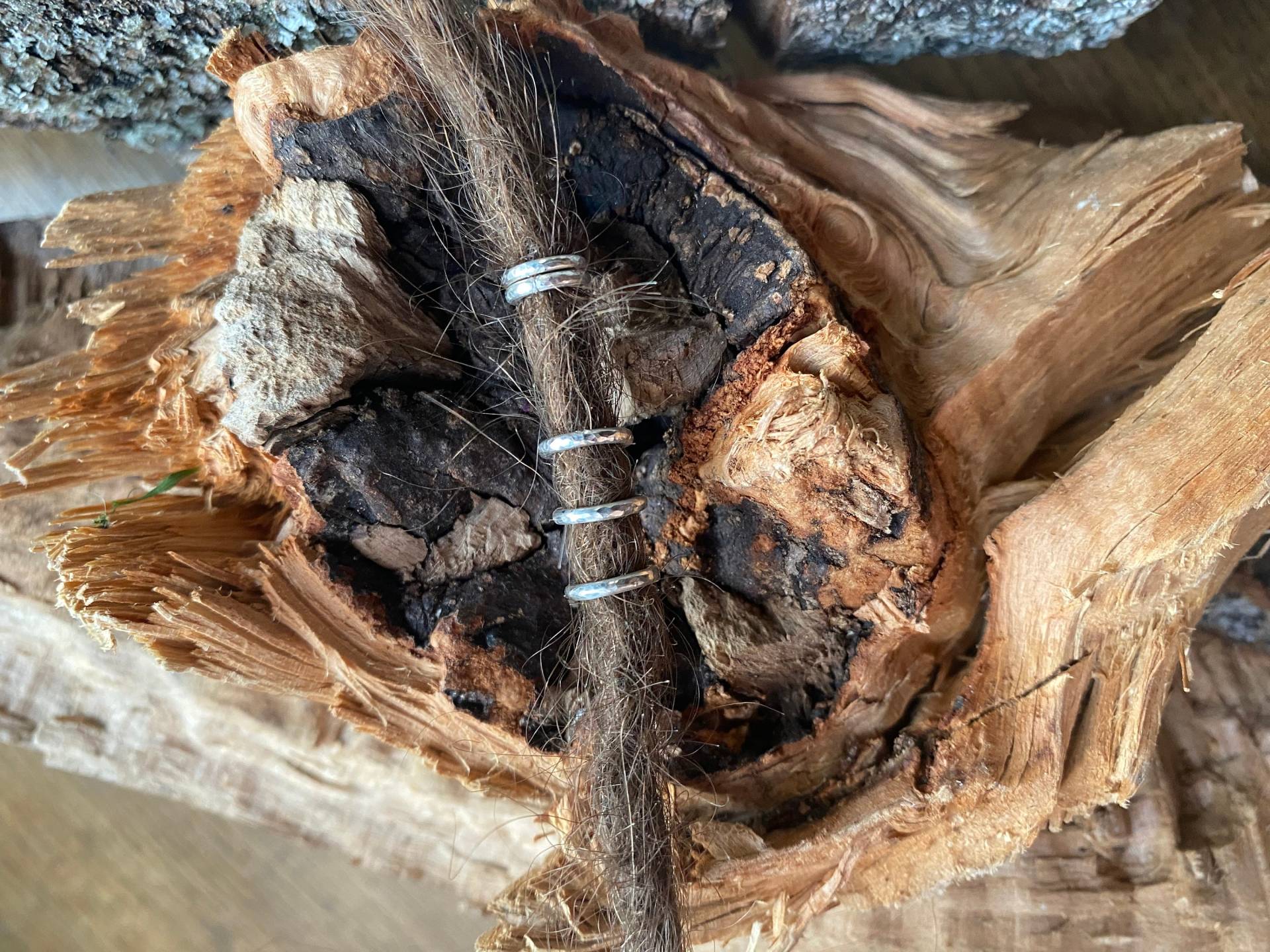 Dreadschmuck Ring Silber von EllaMinella