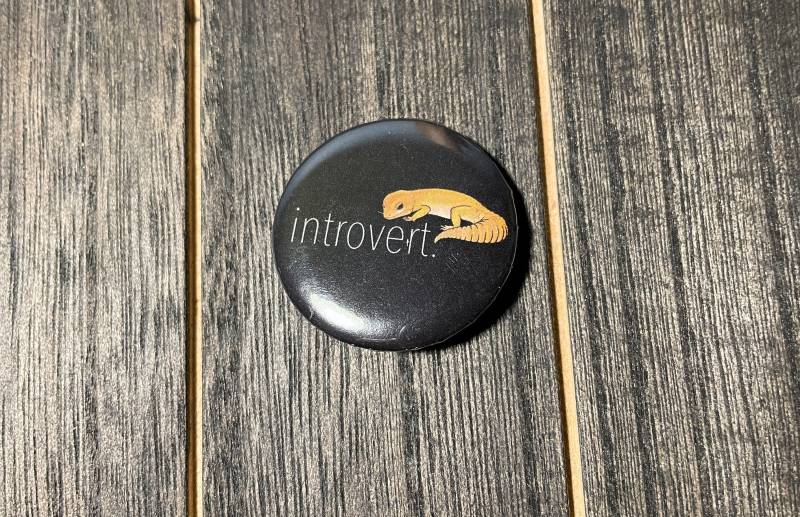 Introvertierter Leopardgecko Button von EllesReptiles