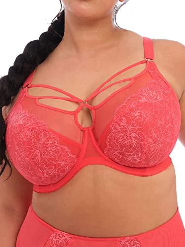 ELOMI Damen Brianna Tiefer Bügel Trägern Plunge-BH, Blickdicht, Cayenne, 34GG von Elomi