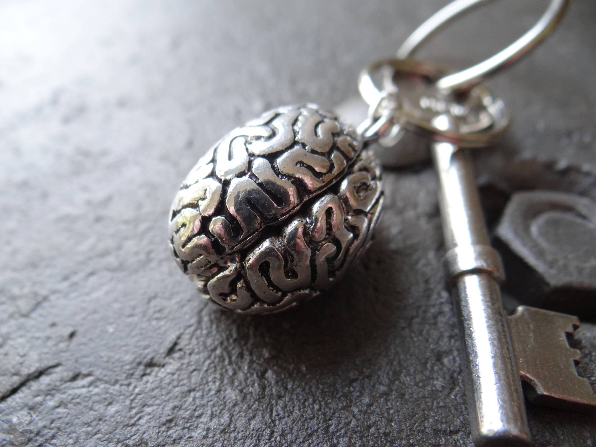 3D Gehirn Schlüsselring // Neurobiologie Biologie Anatomie 3D Gehirn Schlüsselring // Neurobiologie Biologie Anatomie von ElsieAliceJewellery