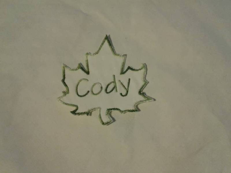 Personalisierter Ahornblatt Aufnäher, Zum Aufbügeln Oder Aufnähen von EmbroideryByZevotek