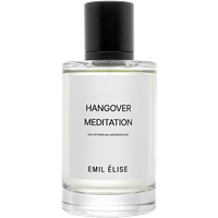 Emil Élise Hangover Meditation E.d.P. Nat. Spray 100 ml von Emil Élise