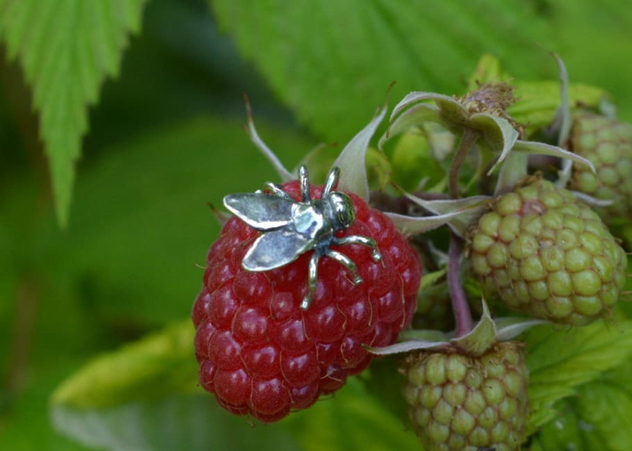 Fliegenpilz Anstecknadel - Aus 925Er Silber Von Der Natur Inspirierte Insekt-Brosche von EmmaKeatingJewellery