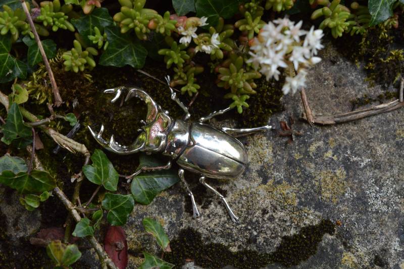 Hirschkäfer Brosche - Sterling Silber Insektenbrosche Lebensgroßer Käfer Wildtier Schmuck Von Emma Keating von EmmaKeatingJewellery