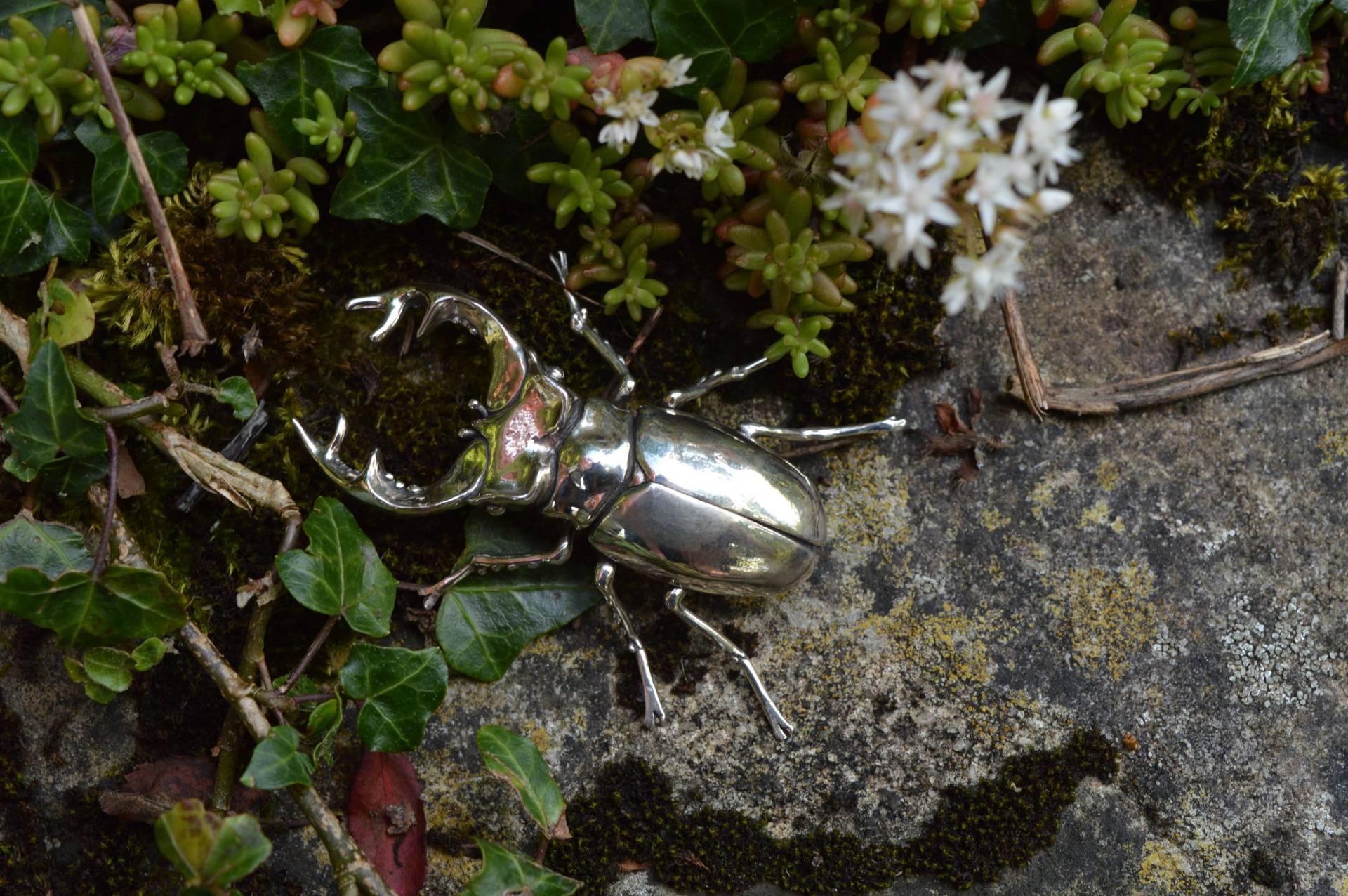 Handgefertigte Hirschkäfer Brosche/Aus 925Er Silber von EmmaKeatingJewellery