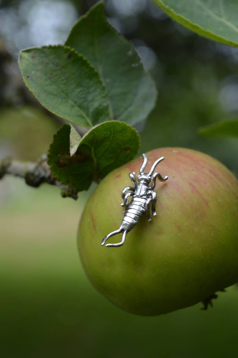 Handgemachte Insekt Brosche, Sterling Silber Ohrwurm Anstecknadel von EmmaKeatingJewellery
