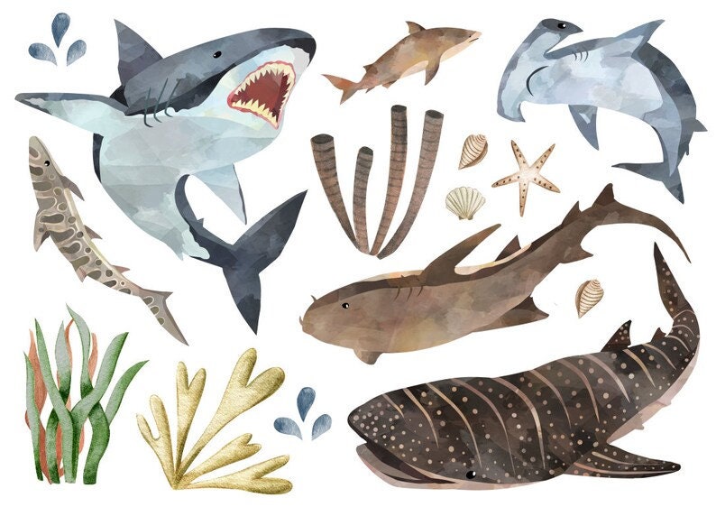 Bs65 Bügelbild Haie Meeres Set von EmmiskleinerLaden