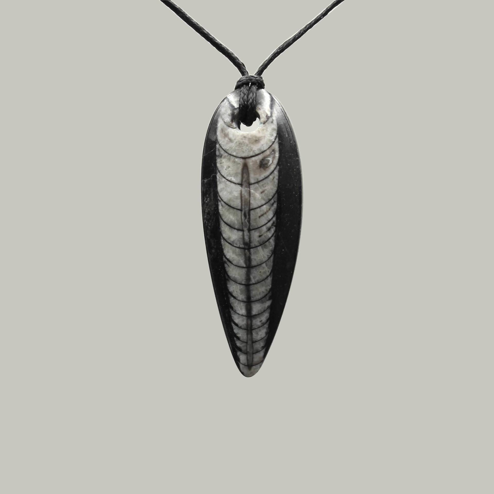 Orthoceras Fossil Anhänger - Handarbeit von EmporiumOrnamentum