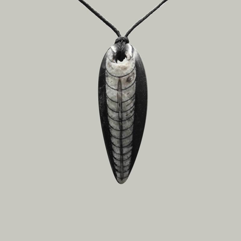 Orthoceras Fossil Anhänger - Handarbeit von EmporiumOrnamentum