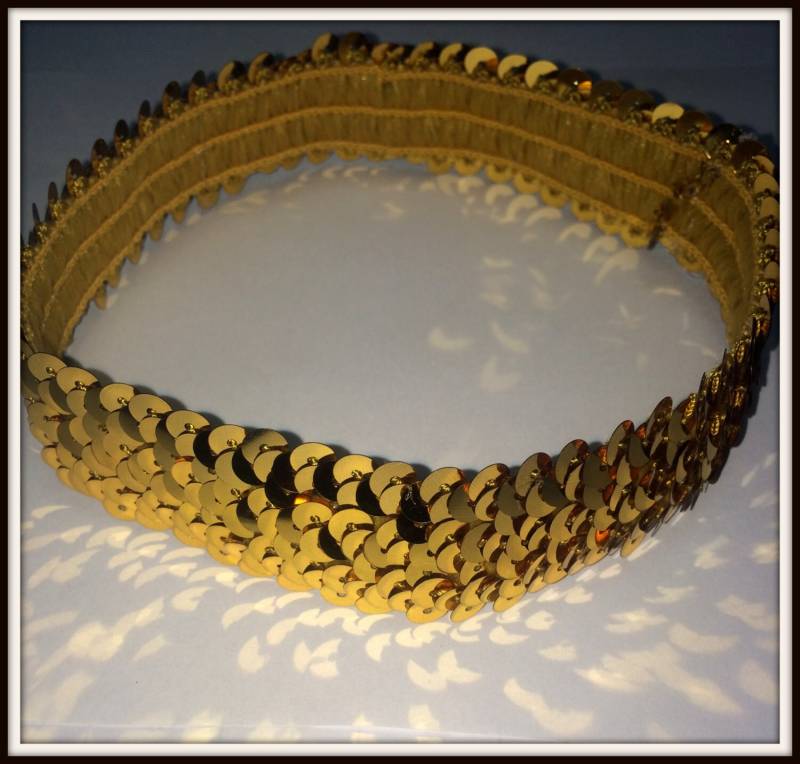 Gold 25, 4 cm Stretch Pailletten Stirnband Softball Basketball Beachvolleyball Fußballspieler Gold 25, 4 cm Stretch Pailletten Stirnband Softball Basketball Beachvolleyball Fußballspieler von EmpowerFuturewave