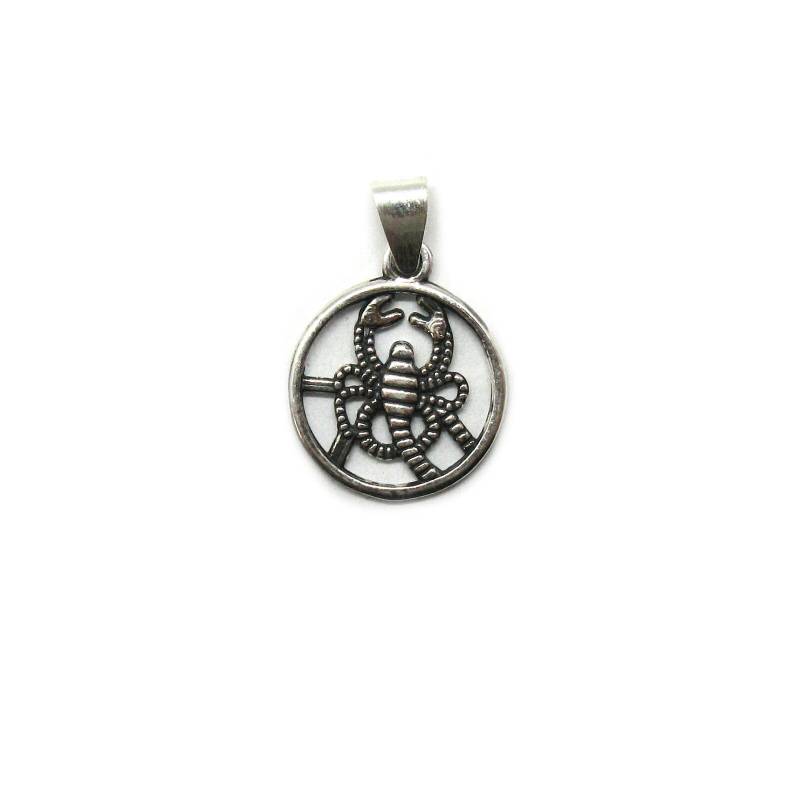 Sterling Silber Anhänger Charm Sternzeichen Skorpion Gestempelt 925 von EmpressSilver