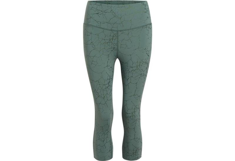 Energetics Funktionstights Da.-Tight 3/4 Kapinem 3/4 W 920 AOP-/GREEN DARK Energetics Funktionstights Da.-Tight 3/4 Kapinem 3/4 W 920 AOP-/GREEN DARK von Energetics