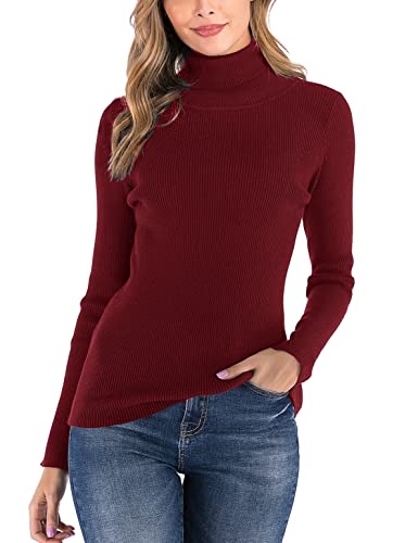 Enjoyoself Damen Rollkragenpullover Langarm Feinstrick Pullover Elegant Weich Warm Strickpulli für Herbst Winter Weinrot,L von Enjoyoself